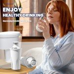 Water Filter Replacement for Brita & Mavea, 3-Pack