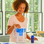 PUR Water Filters - 3 Pack