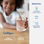 Culligan CUFWF1 Water Filter for Frigidaire