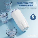 DESENRUIS Water Filter Replacement for Zero Pitcher