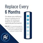 Pentair Big Blue Whole House Iron Filter Cartridge