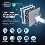 BNX TruFilter 20x24x1 MERV 12 Odor Defense Filters