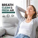 EconoHome 20x25x4 MERV 11 AC Air Filters