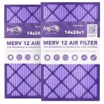 14x24x1 MERV 12 Air Filters (2-Pack)
