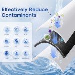 ICEPURE 10" x 4.5" Whole House Water Filters - 2 Pack