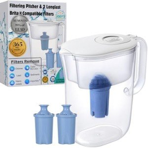 10-Cup Water Filter Pitcher with 2 Filters