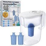 10-Cup Water Filter Pitcher with 2 Filters