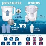 10-Cup Water Filter Pitcher with 2 Filters