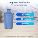 10-Cup Water Filter Pitcher with 2 Filters