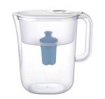 10-Cup Water Filter Pitcher with 2 Filters