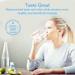 Whirlpool Compatible Water Filter Replacement (2 Pack)