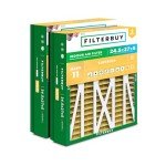 MERV 11 Allergen Defense Air Filters (2-Pack)