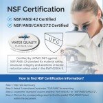 ICEPURE DA97-17376B Water Filter Replacement (2-Pack)