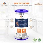 Aquaboon 5 Micron Pleated Sediment Filter Cartridge