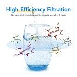 ICEPURE 10” Whole House Sediment Water Filter 2-Pack