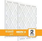 High-Efficiency Pleated AC/Furnace Air Filters (2-Pack)