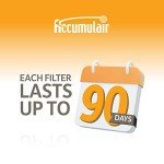 High-Efficiency Pleated AC/Furnace Air Filters (2-Pack)