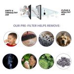 24-Pack Activated Charcoal Air Filters 4" x 12