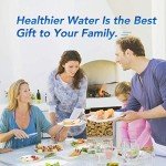 IcePure RFC0500A Compatible Refrigerator Water Filter