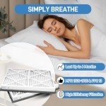 MERV 13 Pleated Air Filters 20x30x3, 2 Pack