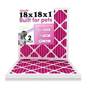 Color Changing Air Filters for Pet Odor - Pack of 2
