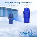 Waterdrop Filters for PUR® Pitchers & Dispensers - 2 Pack