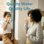 Replacement Water Filters for Zero Pitchers - 2 Pack