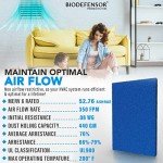 Biodefensor Washable Air Filter 20x30x1 - USA