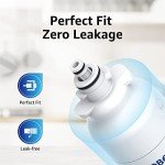 Overbest Refrigerator Water Filter, LG & Kenmore Compatible