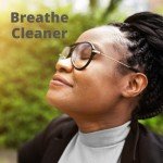 Enviroflow 18x24 Pollen & Dust Control Air Filters