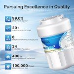 ICEPURE RWF0600A Refrigerator Water Filter Replacement