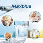 Maxblue MB-F48 NSF Certified Water Filters - 3 Pack