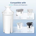 Fil-Fresh 2-Pack Replacement Filters for Brita