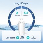 Fil-Fresh 2-Pack Replacement Filters for Brita