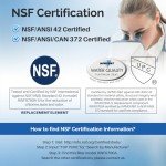 ICEPURE DA29-00020B Refrigerator Water Filter, 2-Pack