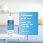 EcoAqua W10295370A Water Filter Replacement