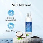 EcoAqua W10295370A Water Filter Replacement