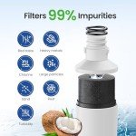 Ecoviva LT1000P Water Filter 3-Pack