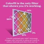 24x24 Air Filter for Pet Odors & Dust