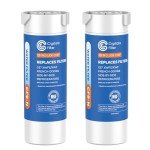 Crystala Water Filter Compatible with GE XWFE - 2 Pack