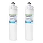 Swift Green Filters 4SI SGF-96-24 CTO-S Water Filter (2 Pack)