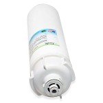 Swift Green Filters 4SI SGF-96-24 CTO-S Water Filter (2 Pack)