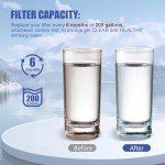 W10295370A Water Filter Replacement Compatible Models