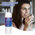 W10295370A Water Filter Replacement Compatible Models