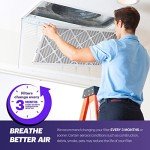 BNX TruFilter 20x24x1 MERV 8 Air Filters (6-Pack)