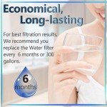 HiWater 4396508 NSF Water Filter Replacement 3-Pack