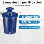 Brita® Pitcher Replacement Filters - 2 Pack