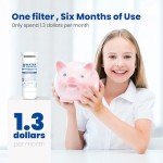 Waterspecialist XWF NSF Certified Water Filter, 3-Pack