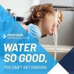 Pentair OmniFilter US1 Under Sink Water Filter
