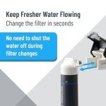 Pentair OmniFilter US1 Under Sink Water Filter